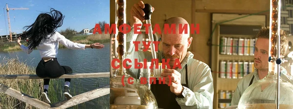 PSILOCYBIN Арсеньев